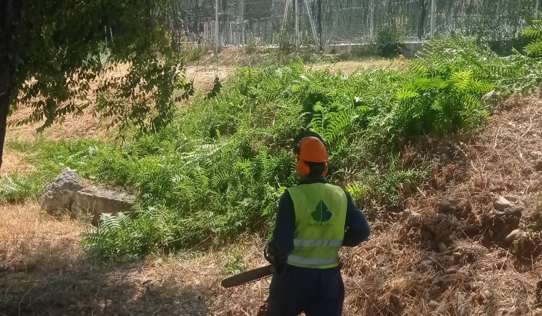 WhatsApp Image 2022-09-26 at 09.33.17 (3)