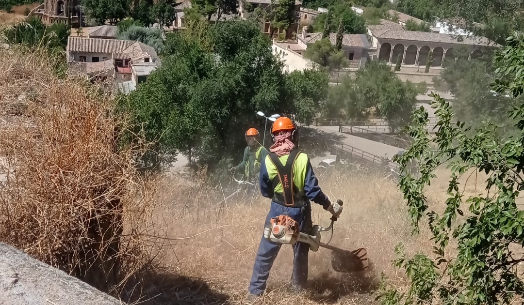 WhatsApp Image 2022-09-26 at 09.33.18 (4)