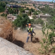 WhatsApp Image 2022-09-26 at 09.33.18 (4)